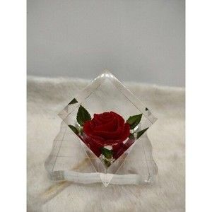 Vintage Bircraft Lucite Acrylic CUBE PAPERWEIGHT SCULPTURE Red Rose Enclosed